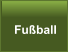 Fu�ball